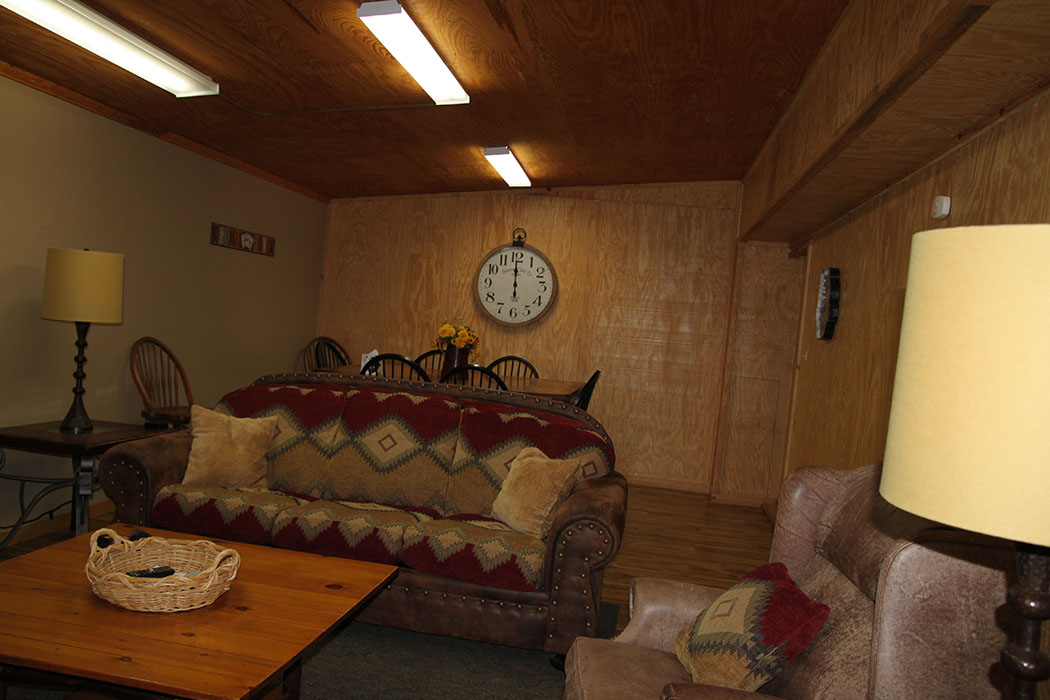Game room with sleeper sofa